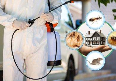 Top 10 best pest control services in West London.